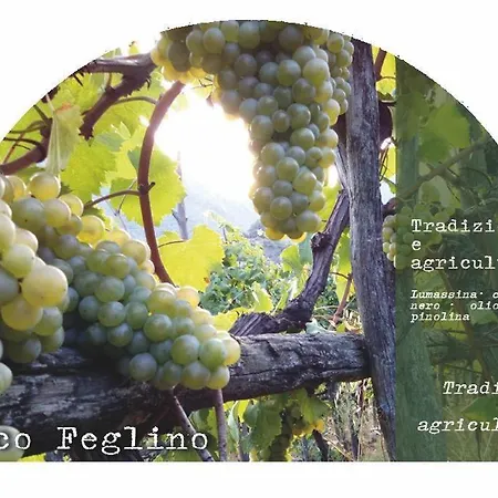 Frühstückspension Beppe E Lucia 3*
